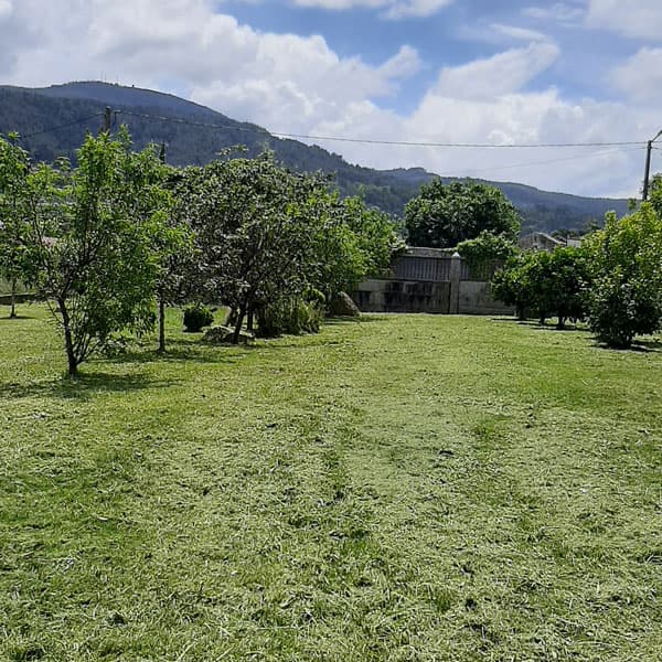 Jardineros en Pontevedra y A Coruña