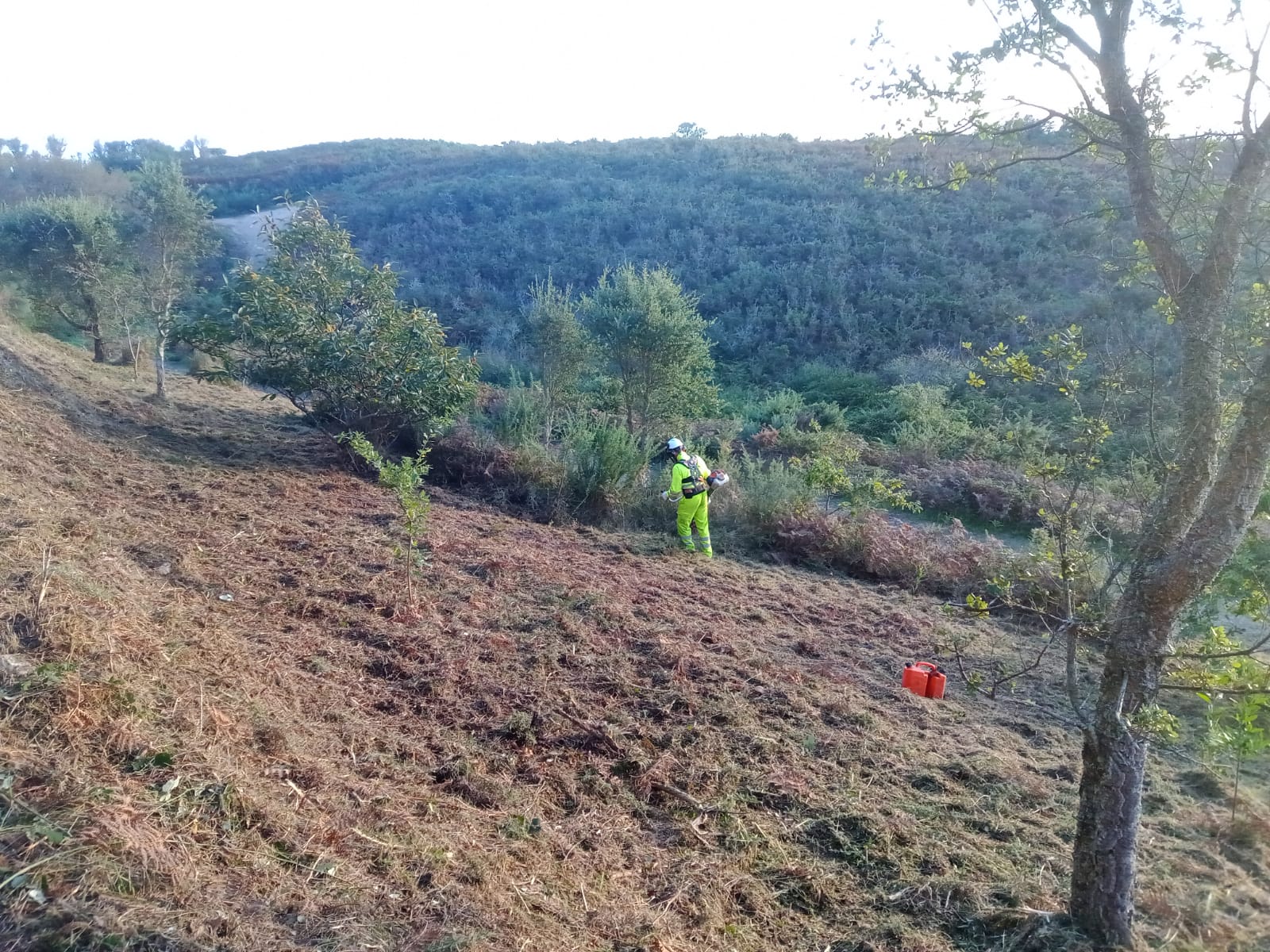   Mantenimiento de jardines y desbroces en A Coruña y Pontevedra