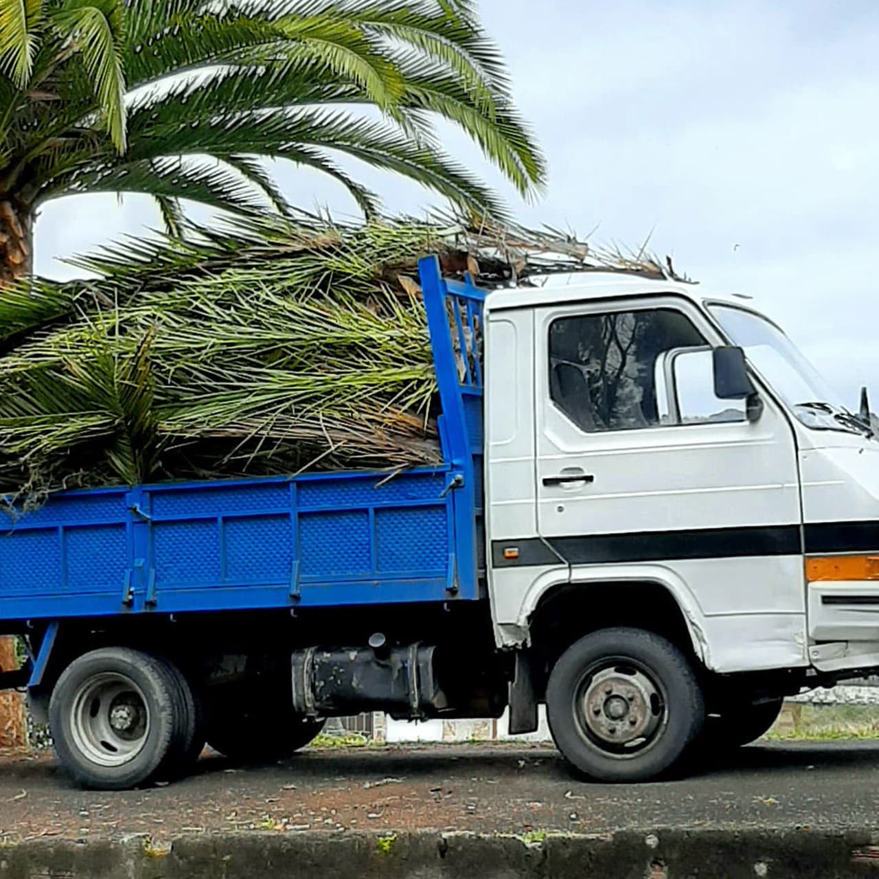 Contactar con el equipo de Os Gnomos