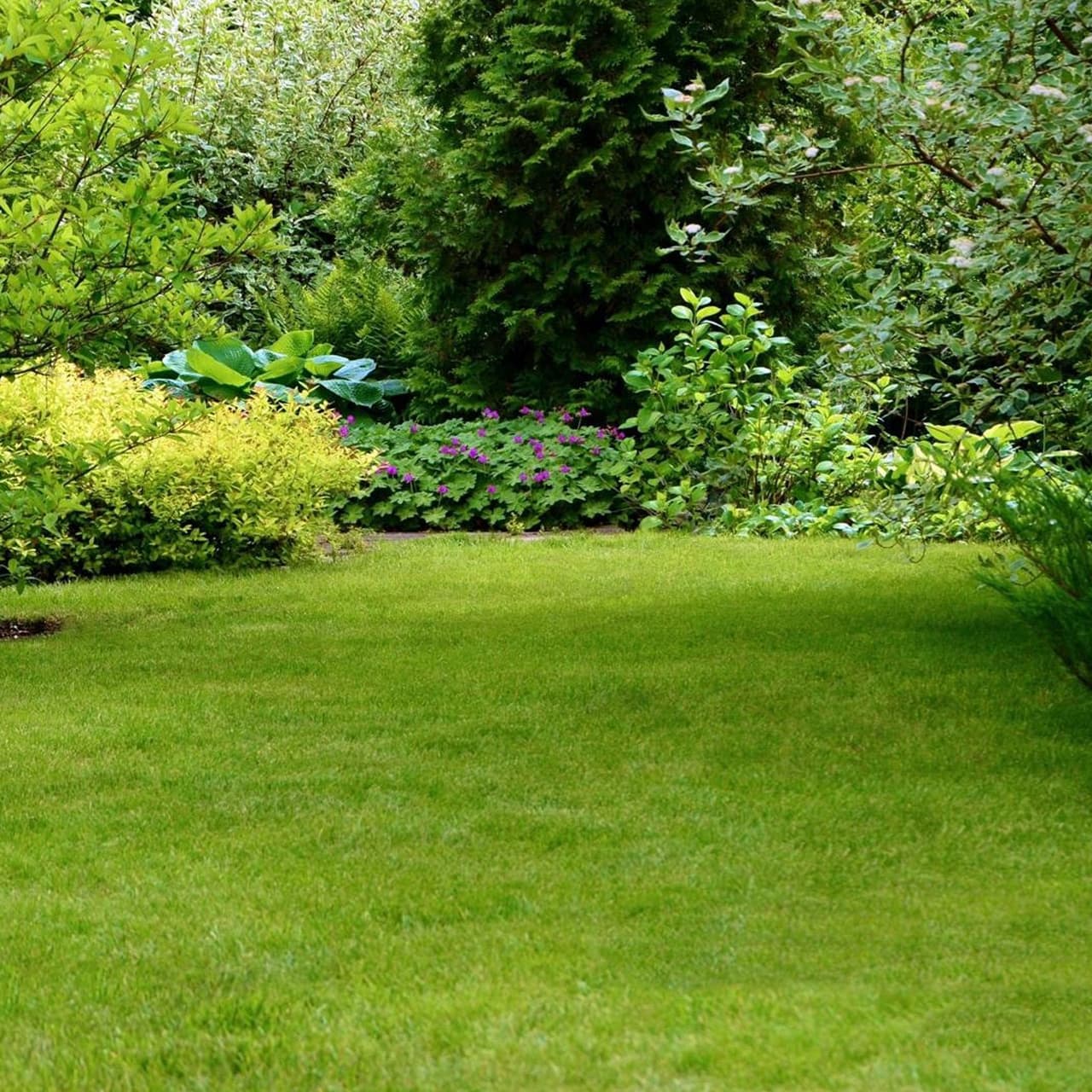 Pon tus espacios verdes en manos expertas