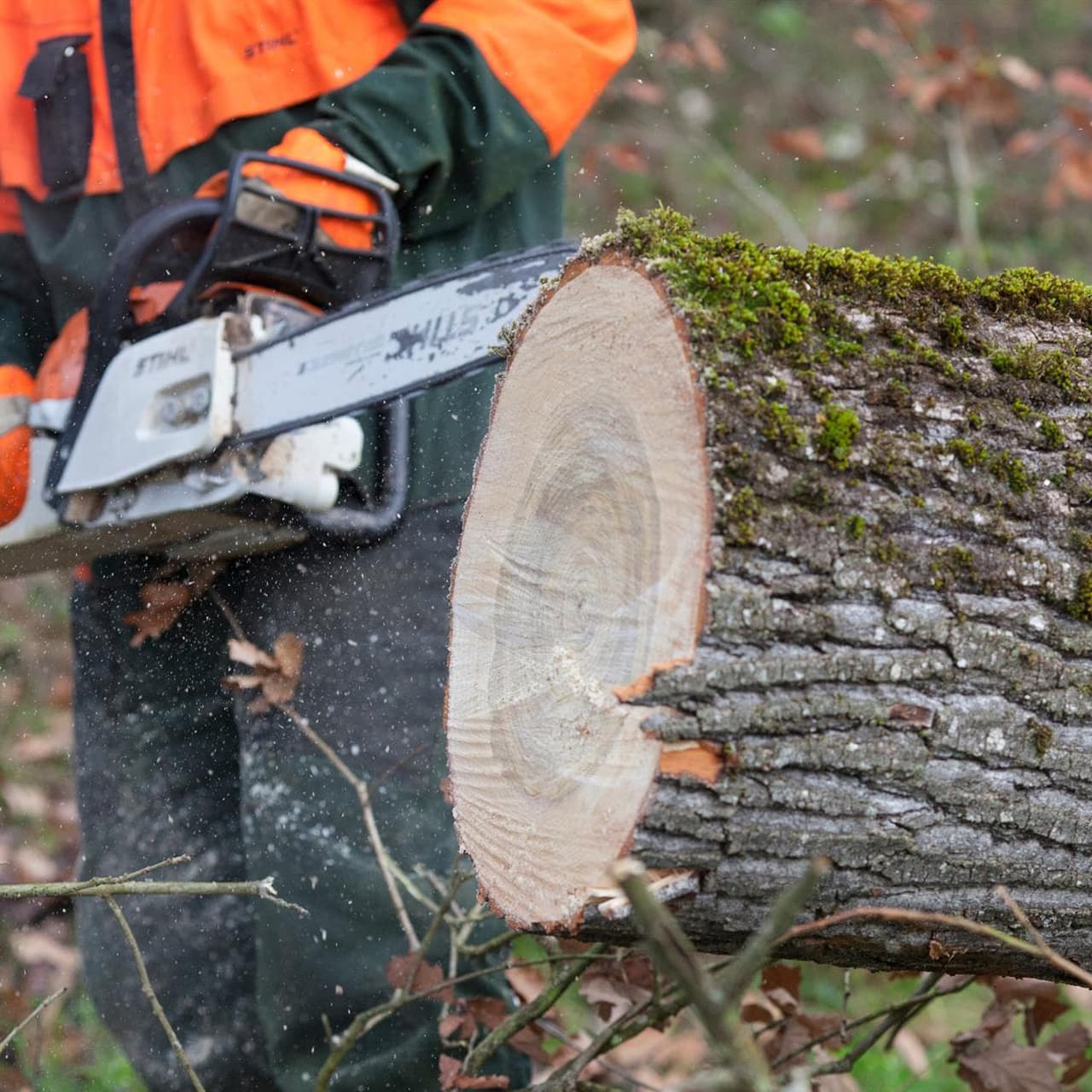 Soluciones de calidad en jardinería en A Coruña y Pontevedra