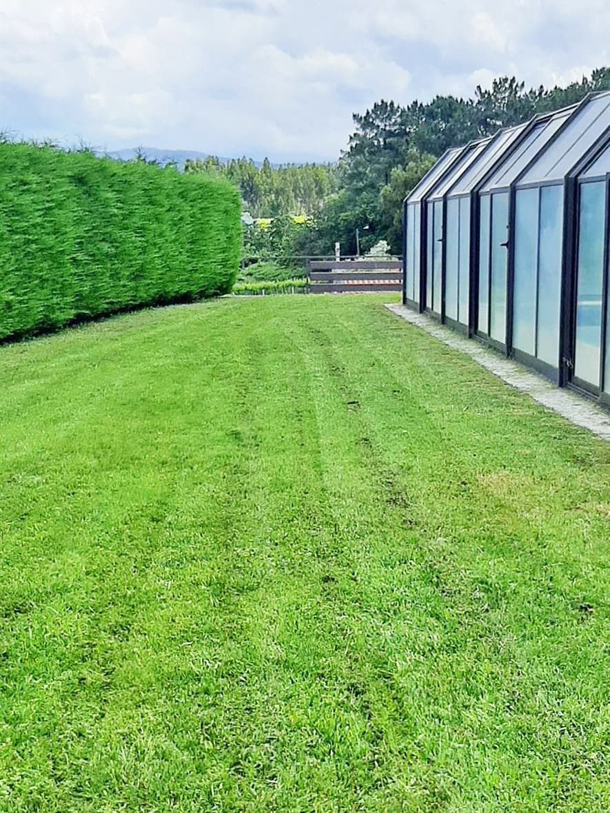Renueva tus espacios verdes de la mano de nuestros jardineros